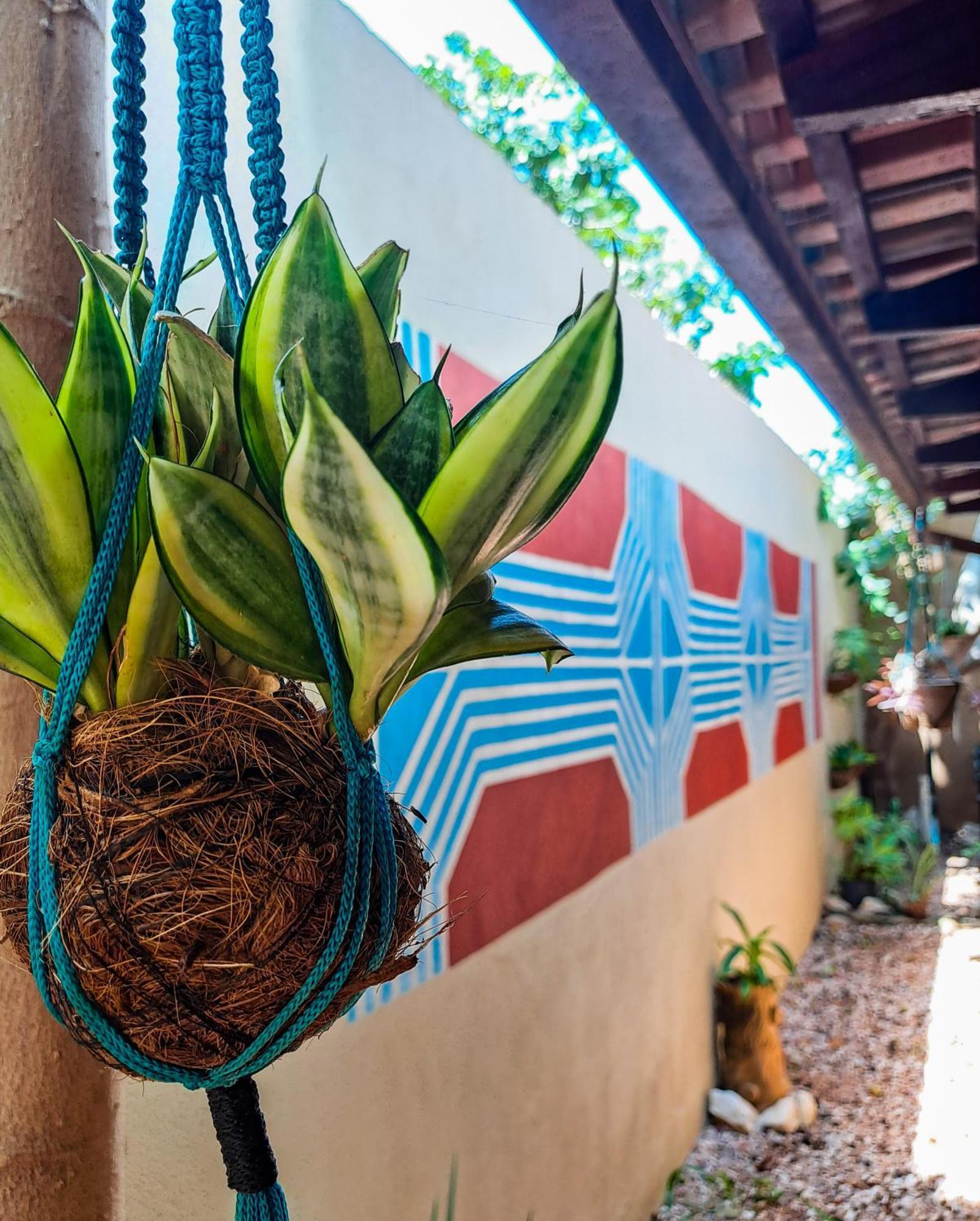 Savana Hostel Sao Jorge  Luaran gambar